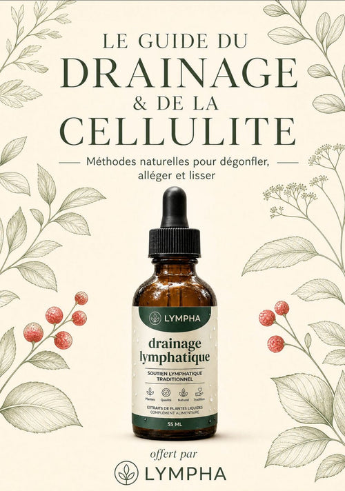 Ebook - Guide drainage et cellulite