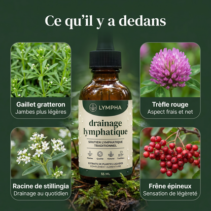 Ce qu'il y a dedans - 4 plantes
