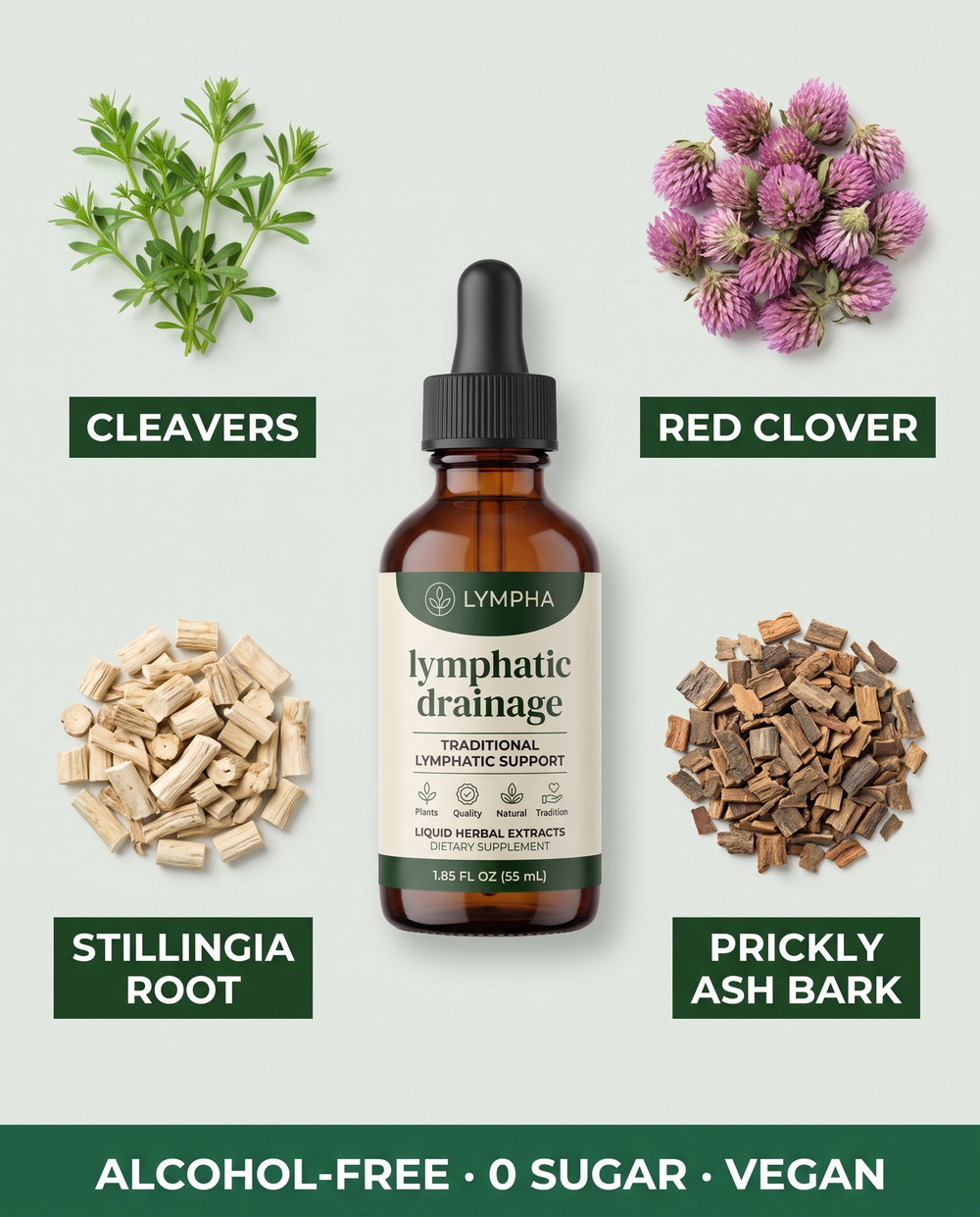 Four herbs infographic